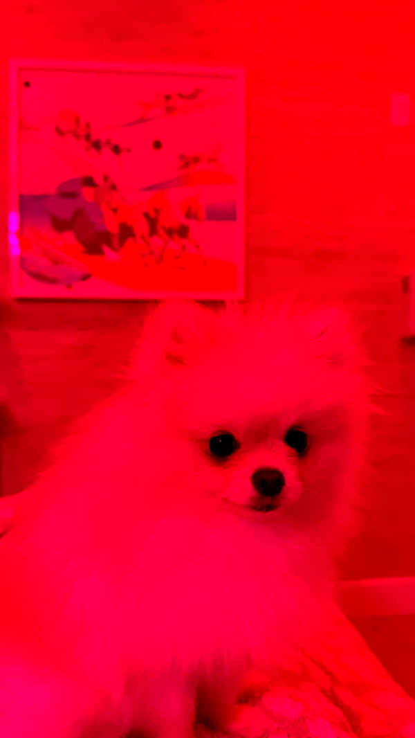 graceboor image ~ Altpins