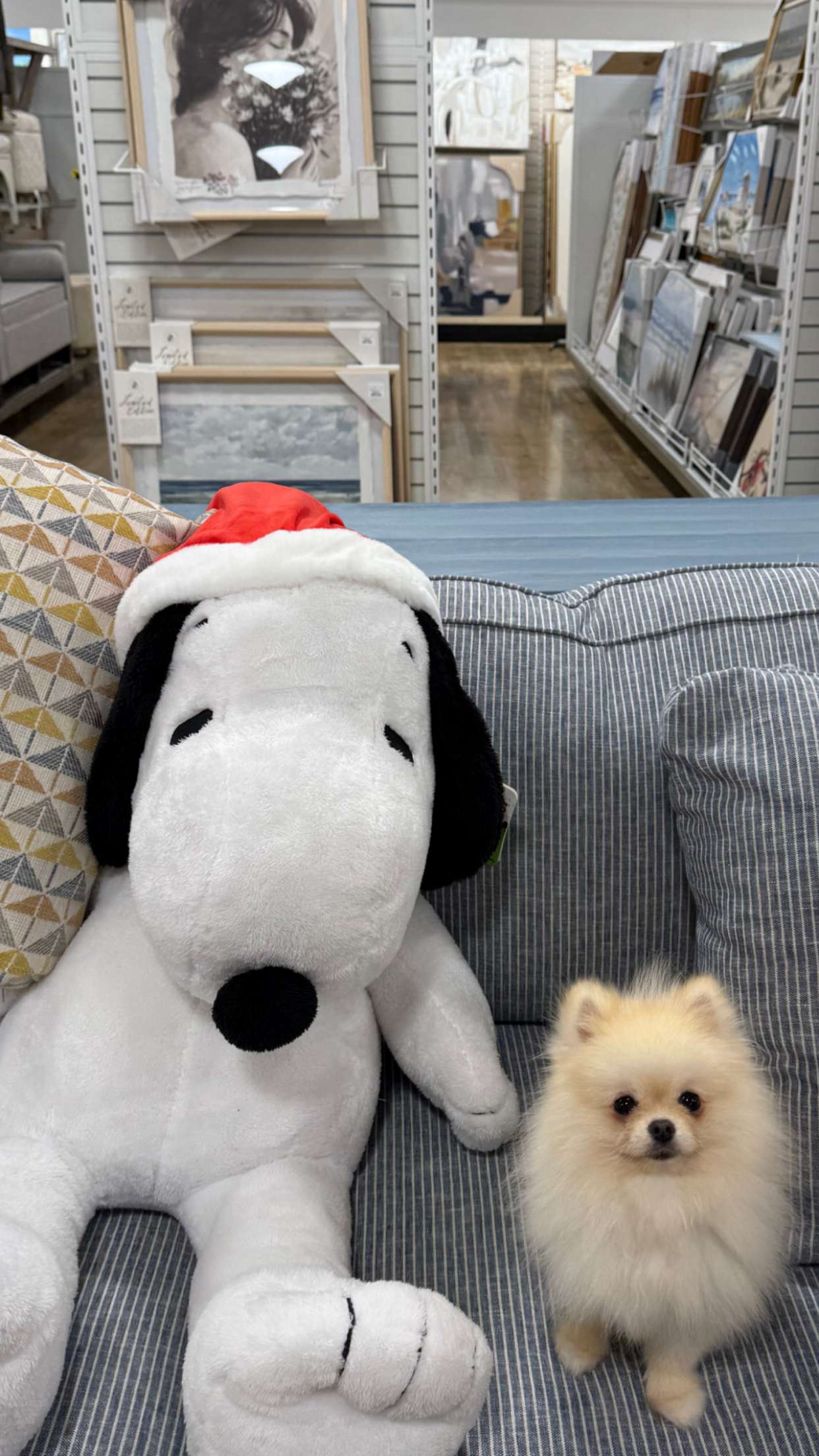 graceboor snapchat image archive image