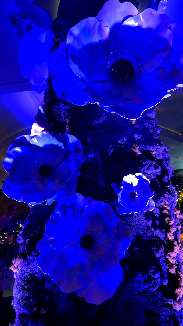 graceboor image ~ Altpins