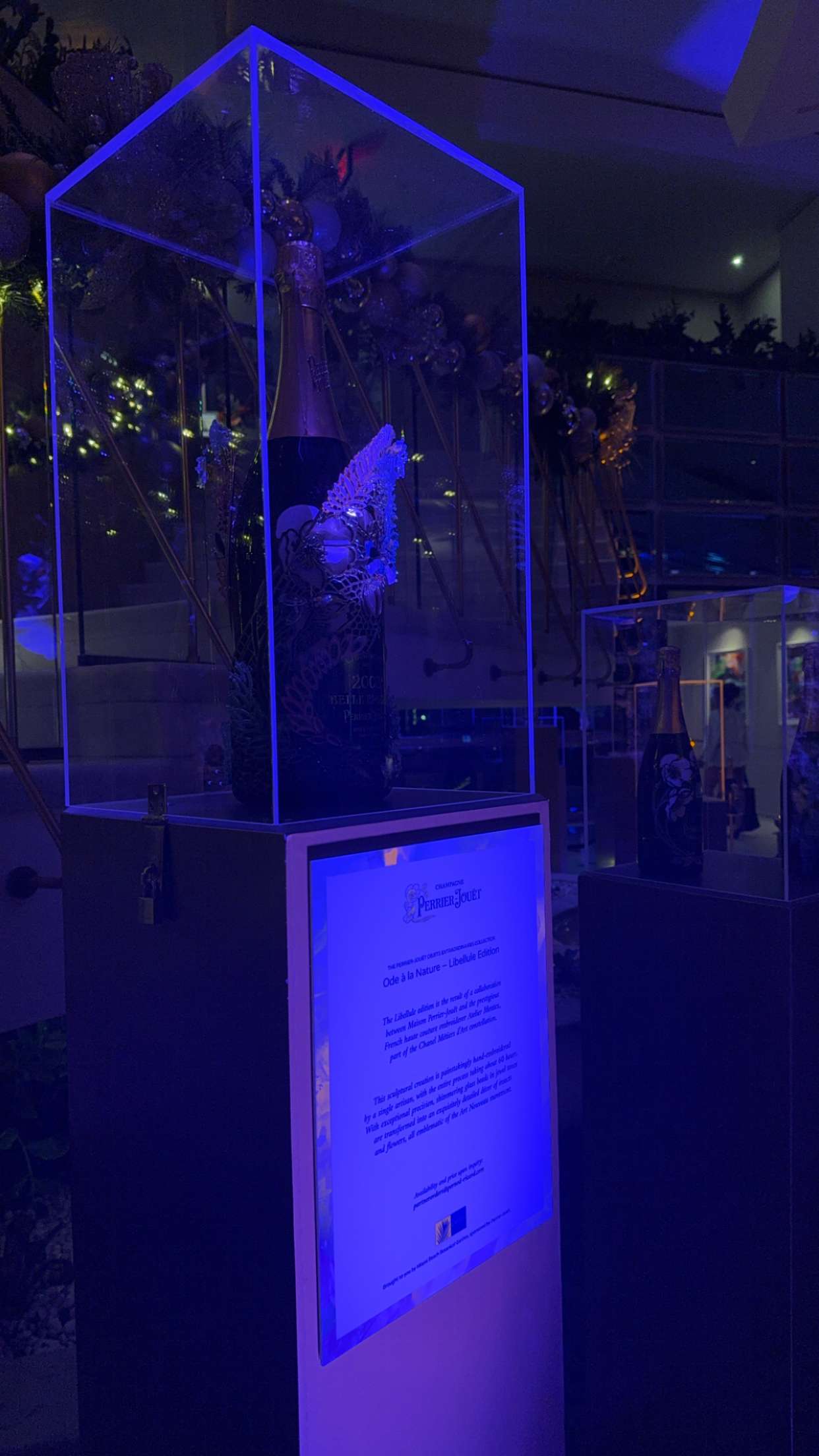 graceboor snapchat image archive image