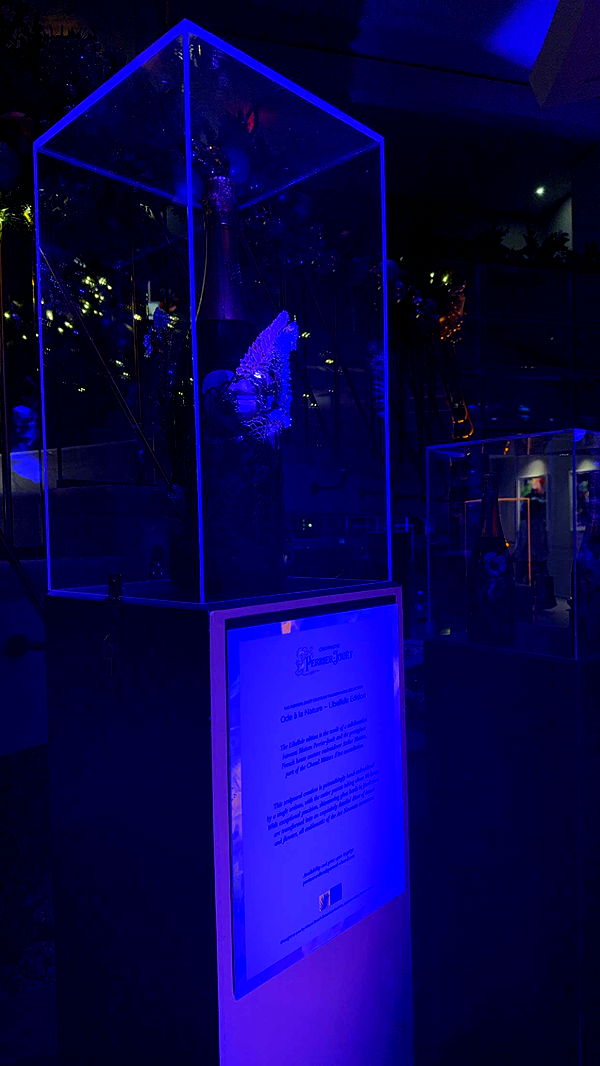 graceboor image ~ Altpins