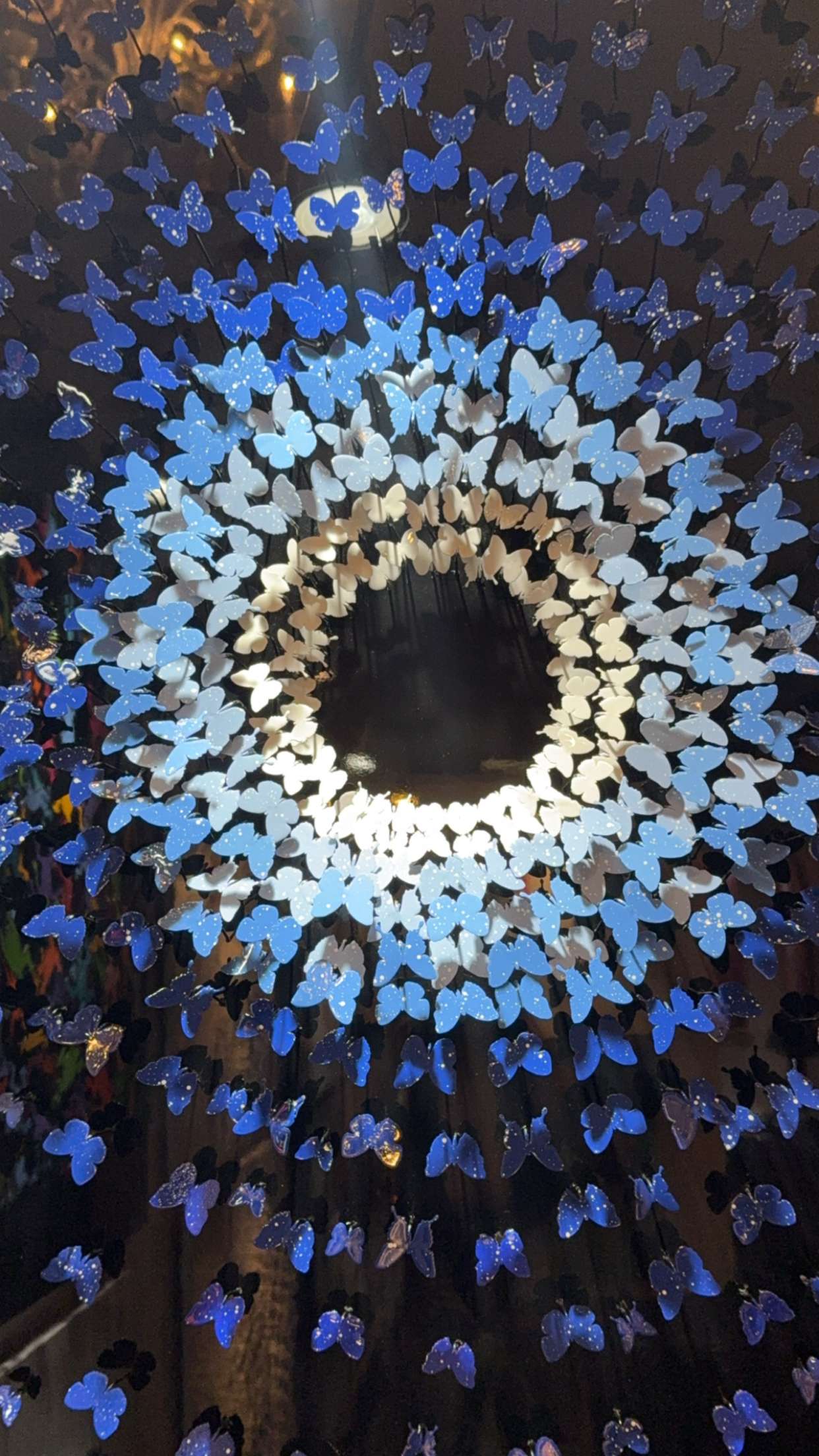 graceboor snapchat image archive image