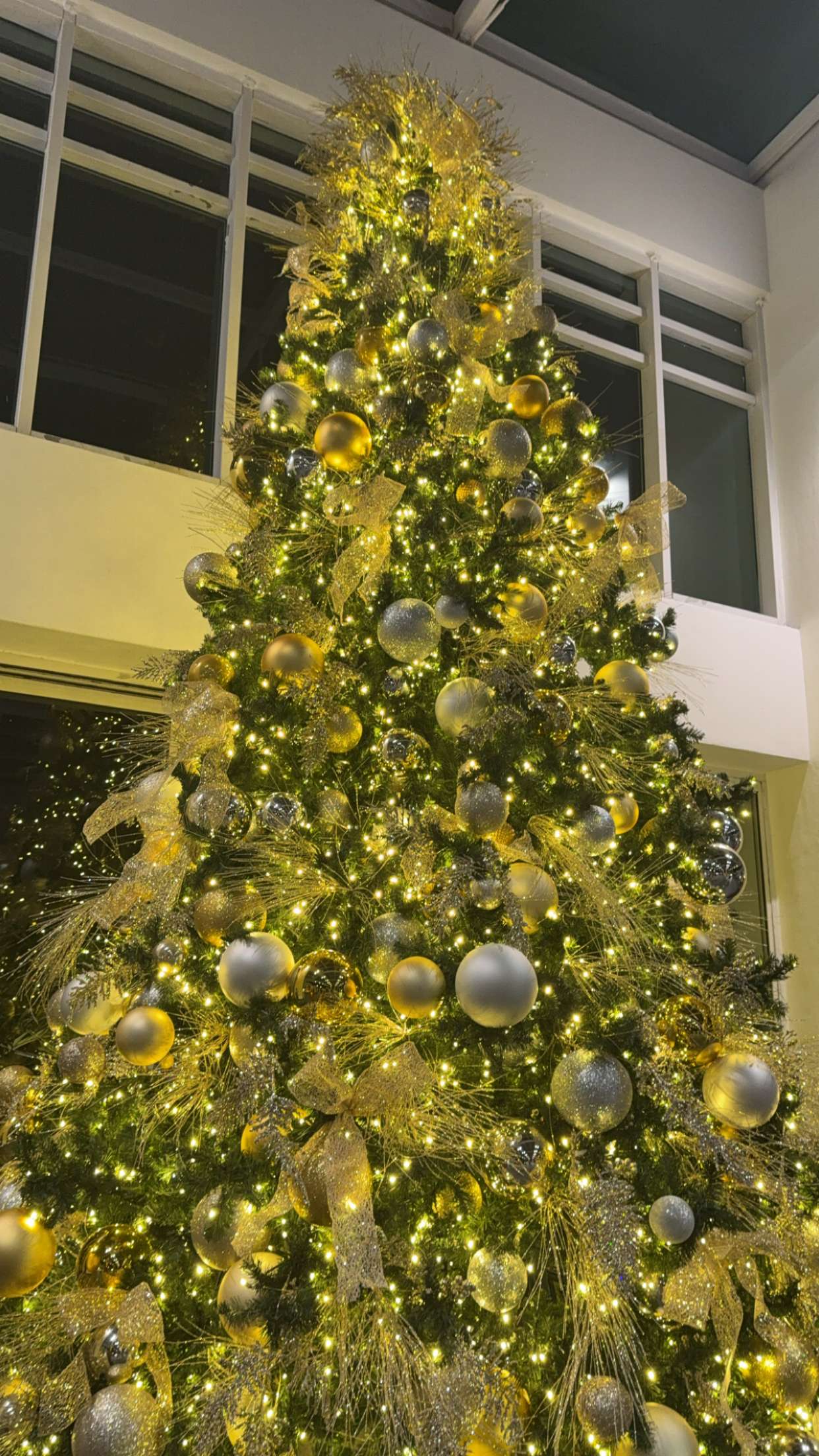 graceboor snapchat image archive image