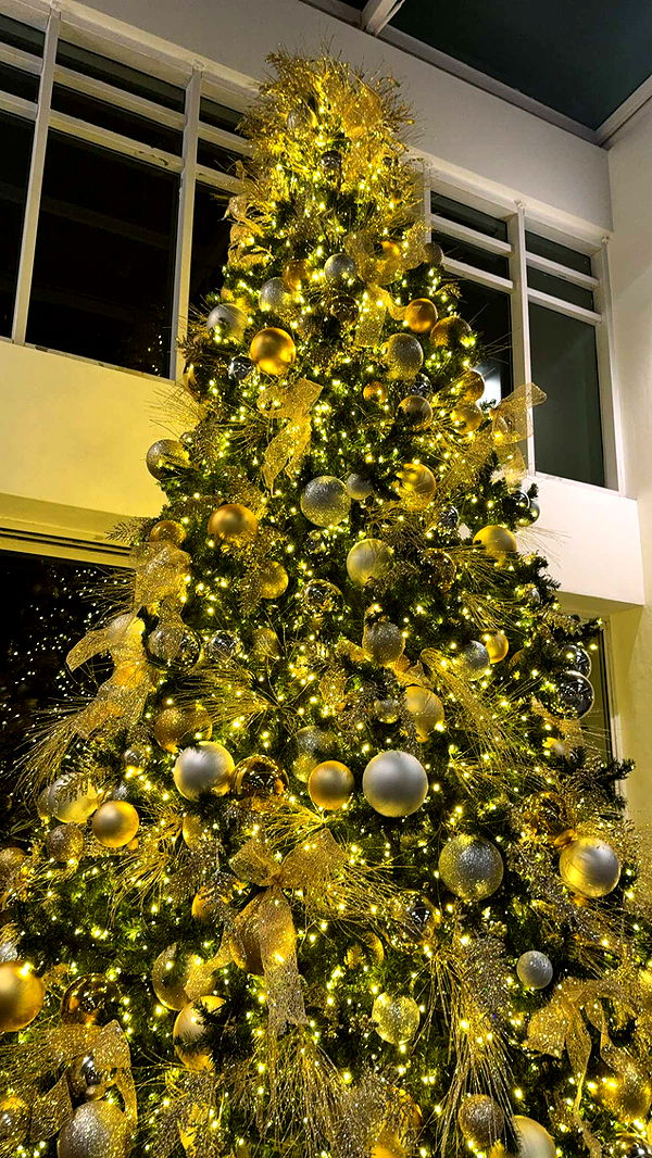 graceboor image ~ Altpins