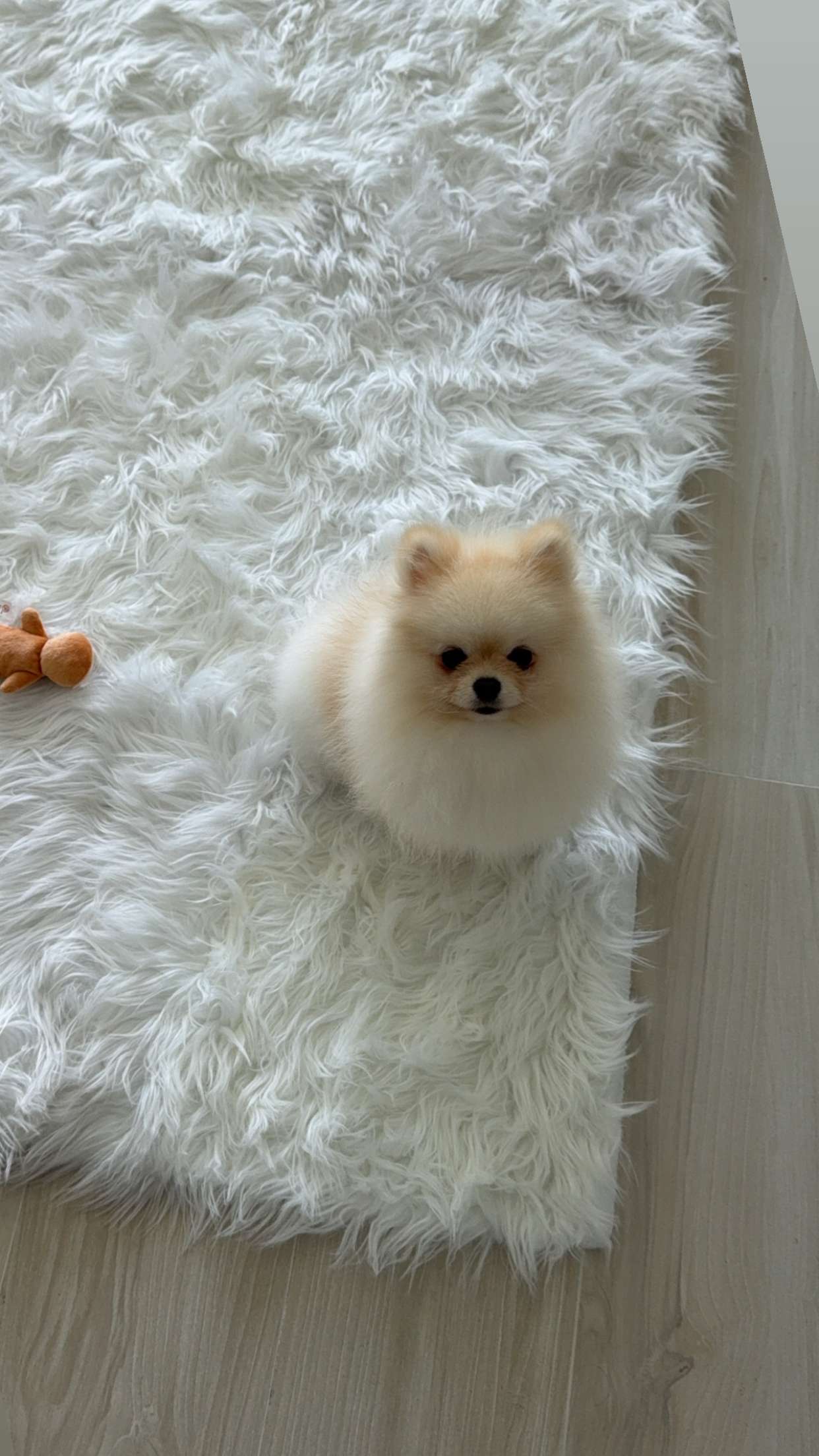 graceboor snapchat image archive image