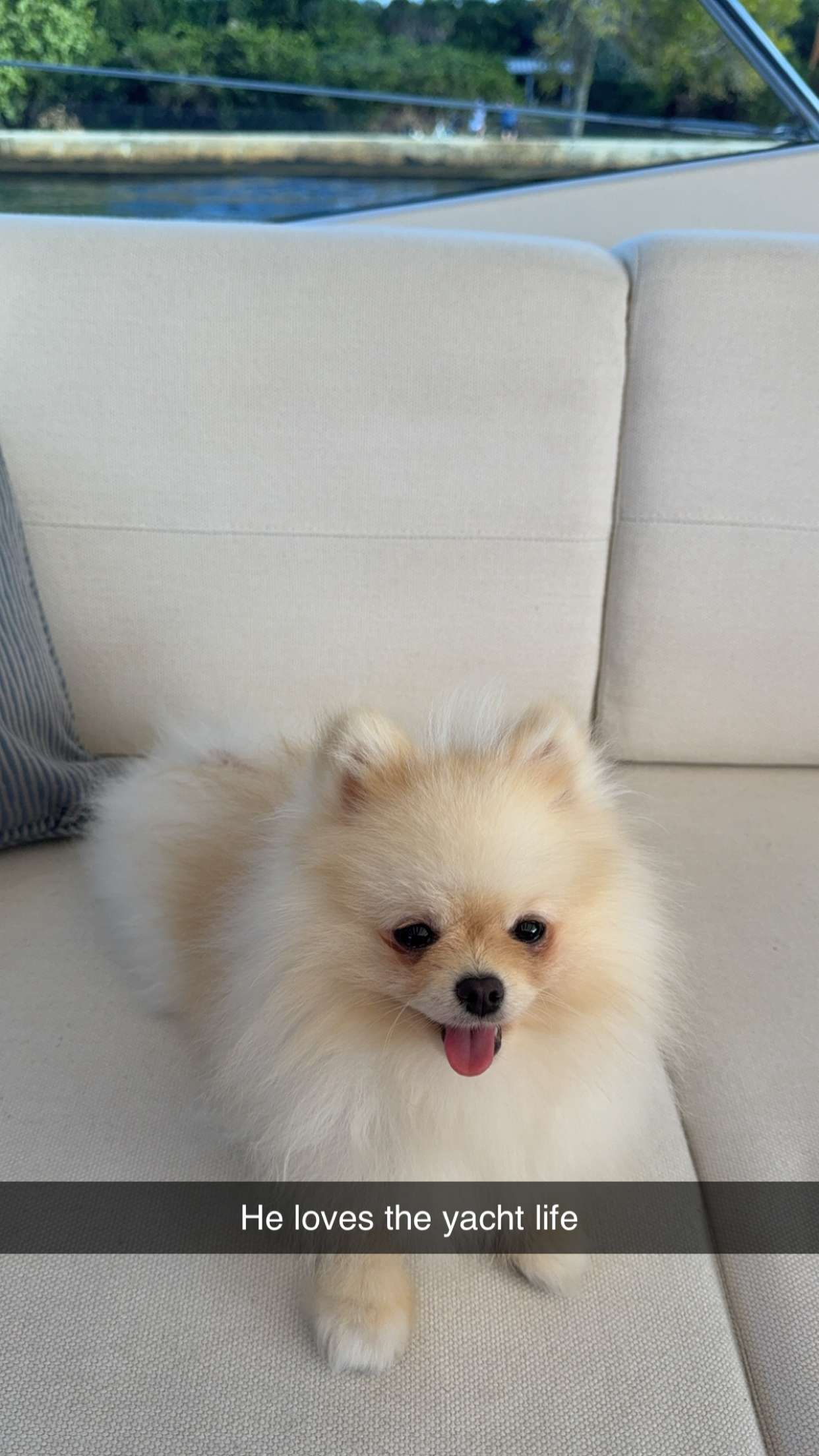 graceboor snapchat image archive image