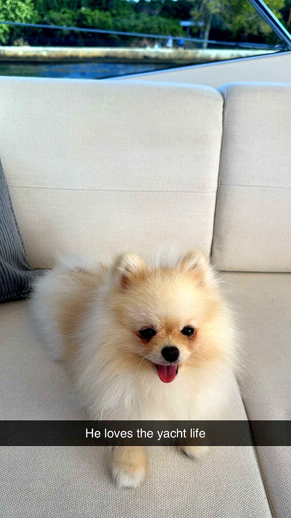 graceboor image ~ Altpins