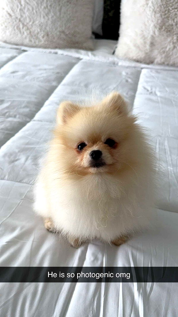 graceboor image ~ Altpins