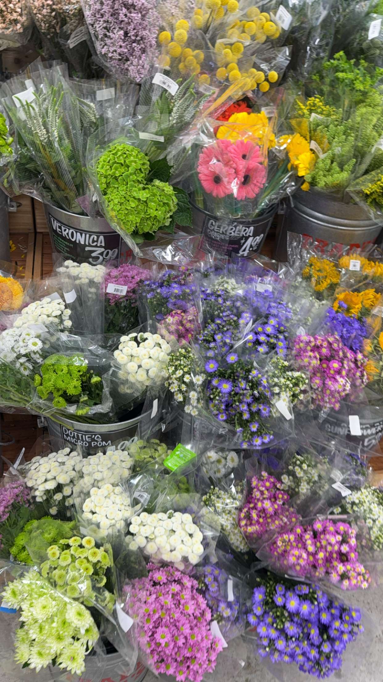 graceboor snapchat image archive image