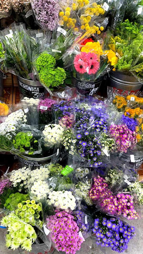 graceboor image ~ Altpins