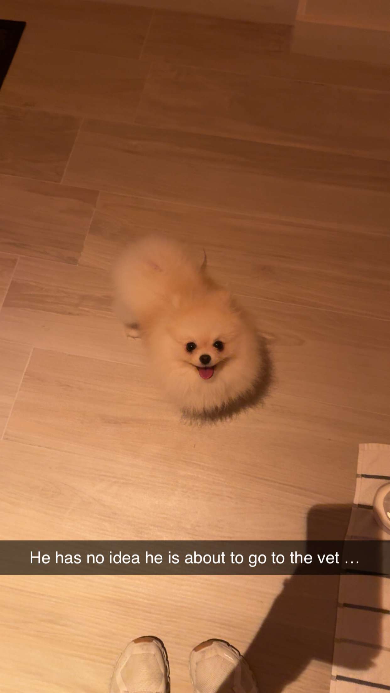 graceboor snapchat image archive image