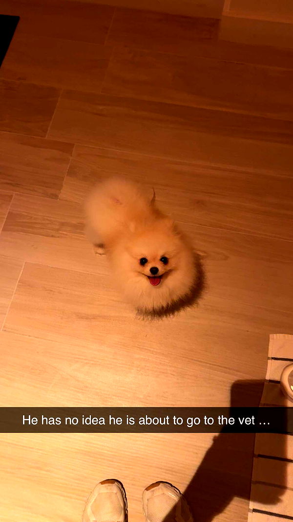 graceboor image ~ Altpins