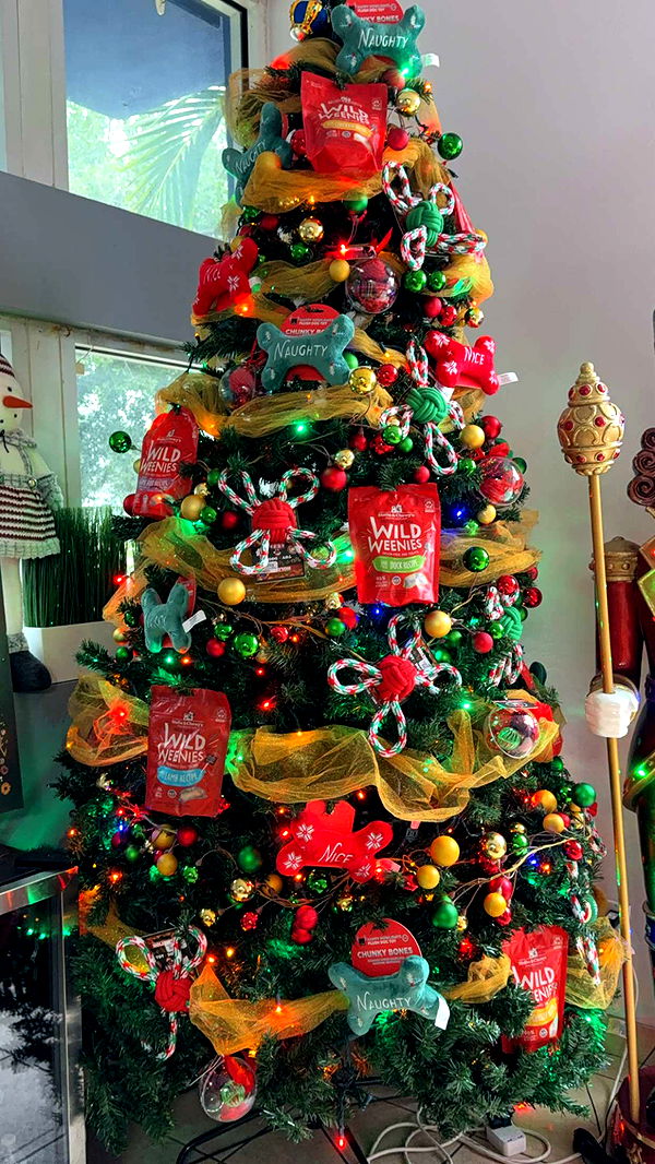 graceboor image ~ Altpins