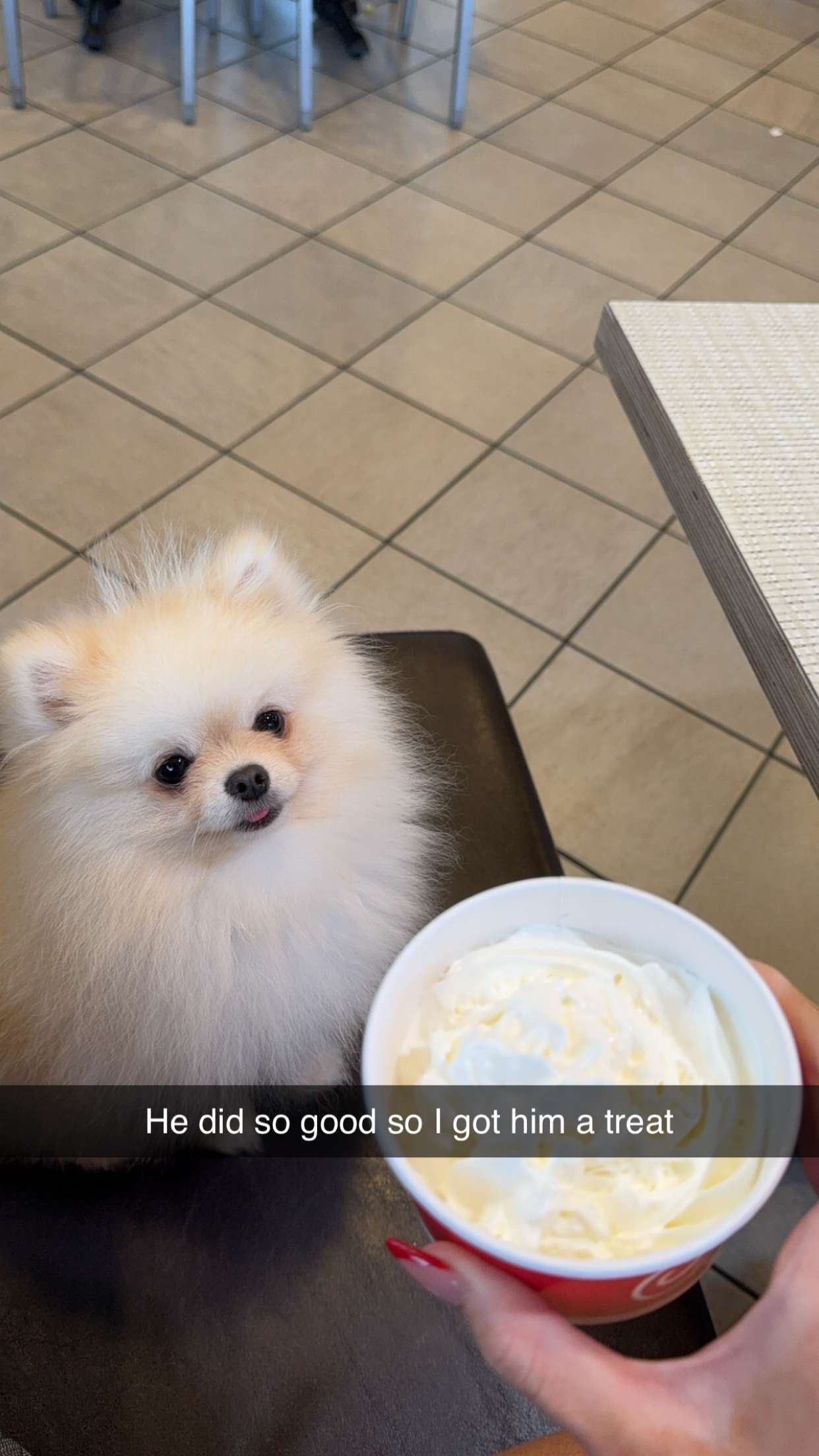 graceboor snapchat image archive image