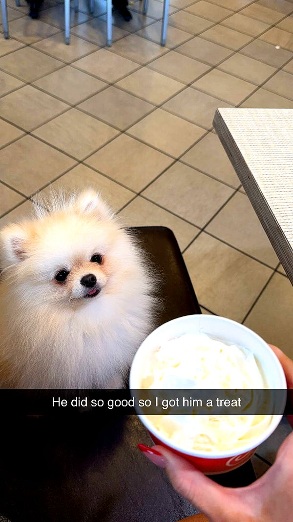 graceboor image ~ Altpins