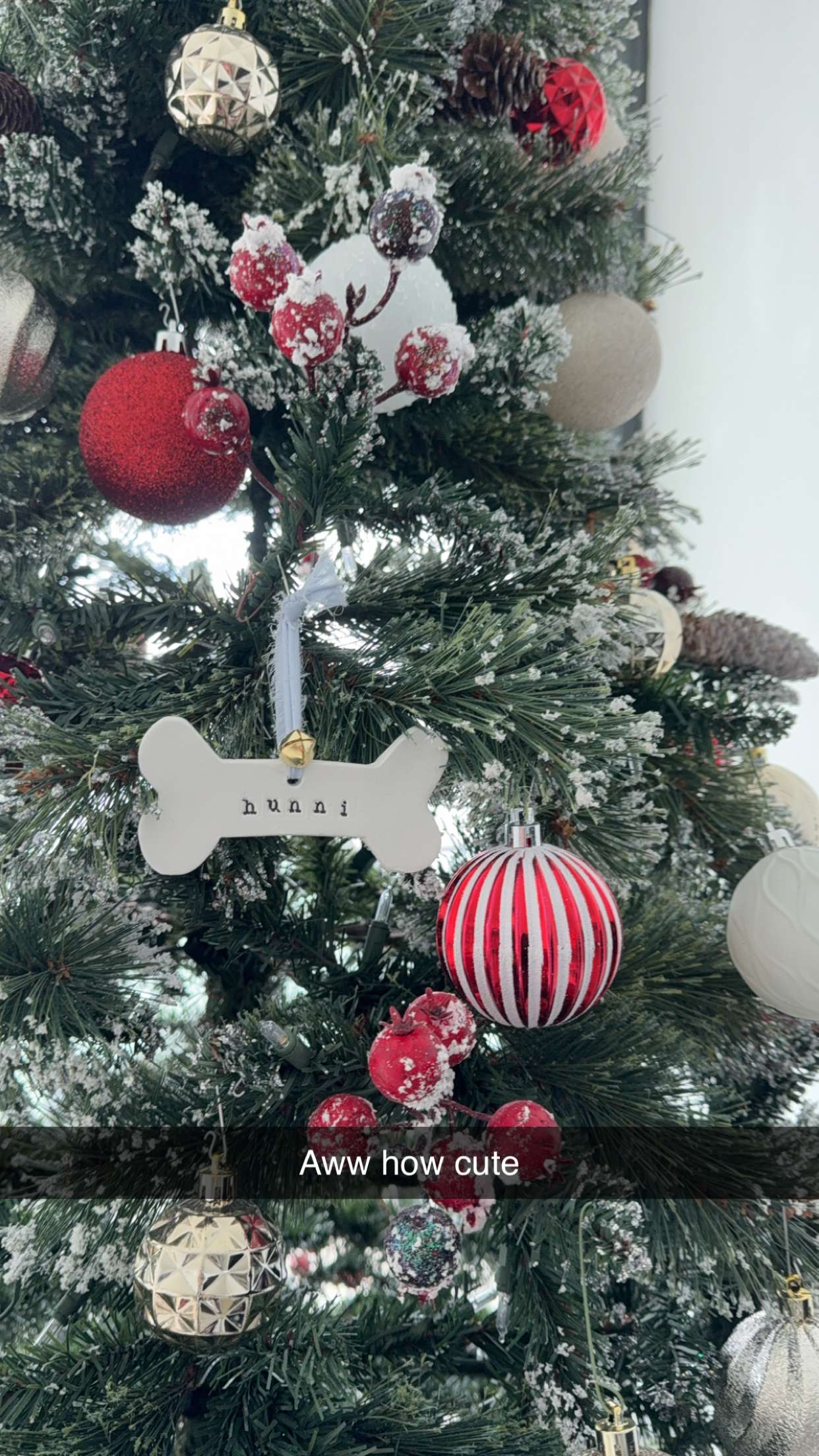 graceboor snapchat image archive image