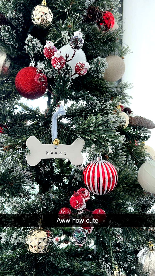 graceboor image ~ Altpins