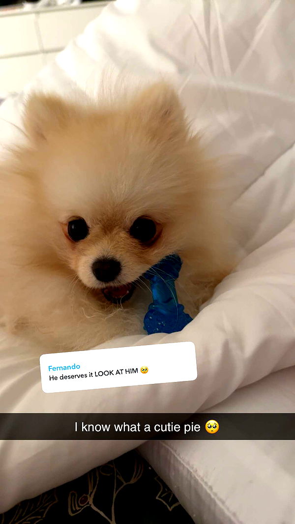 graceboor image ~ Altpins