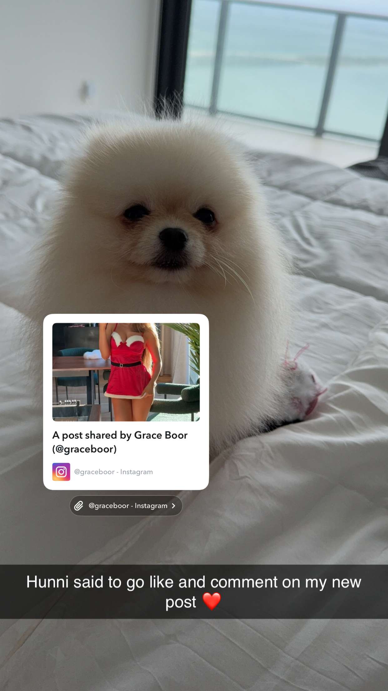 graceboor snapchat image archive image