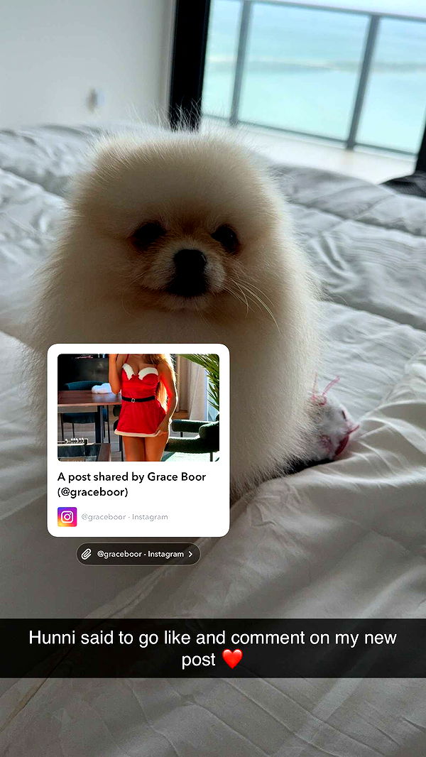 graceboor image ~ Altpins