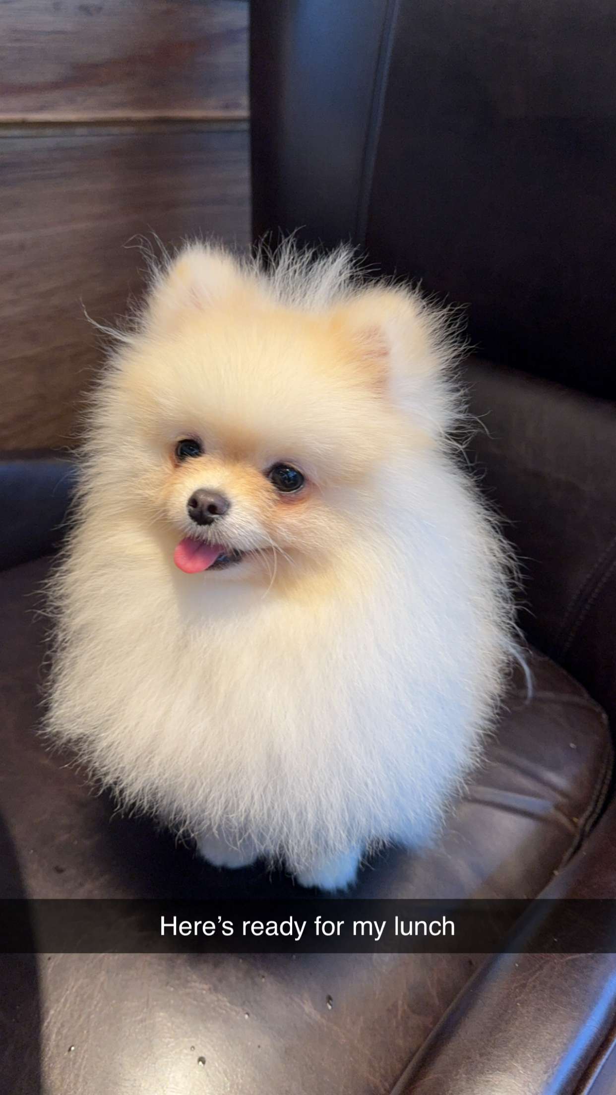 graceboor snapchat image archive image