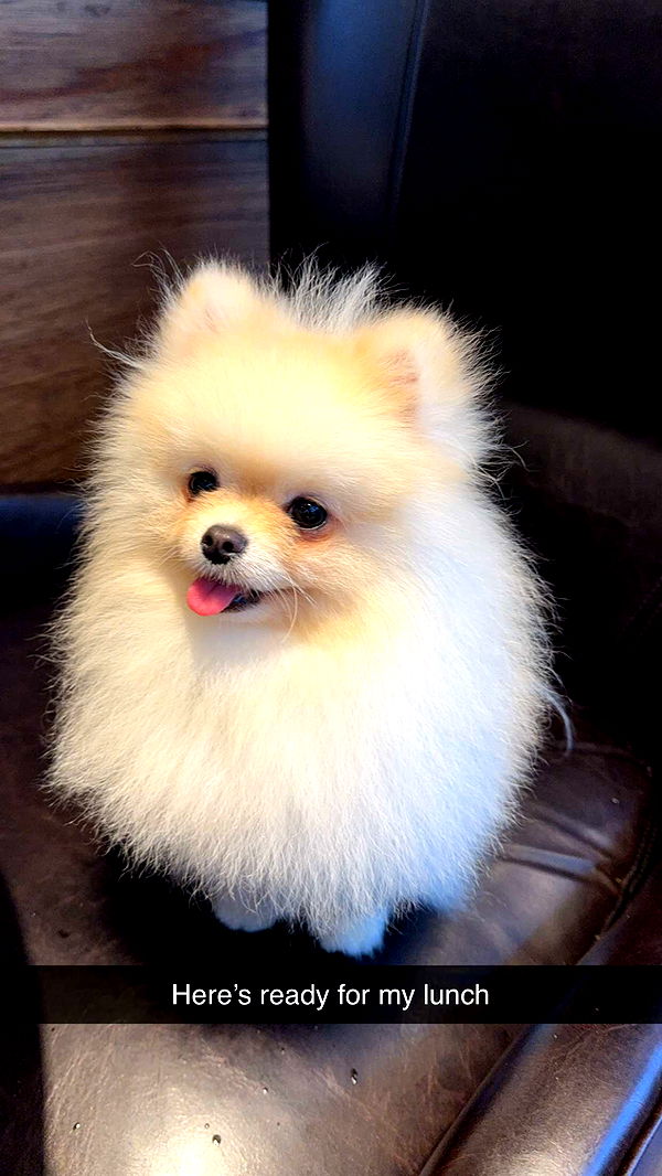 graceboor image ~ Altpins