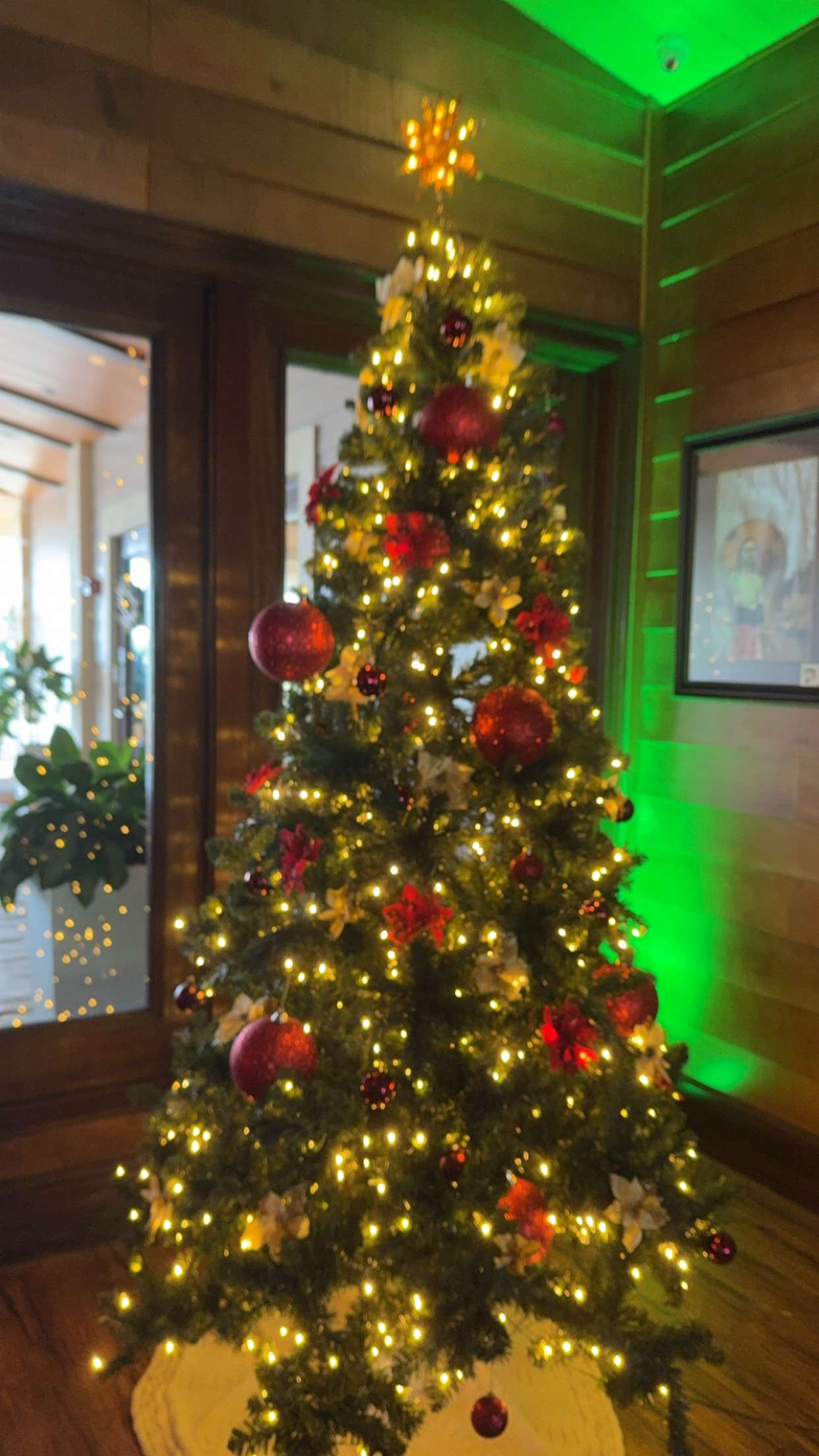 graceboor snapchat image archive image