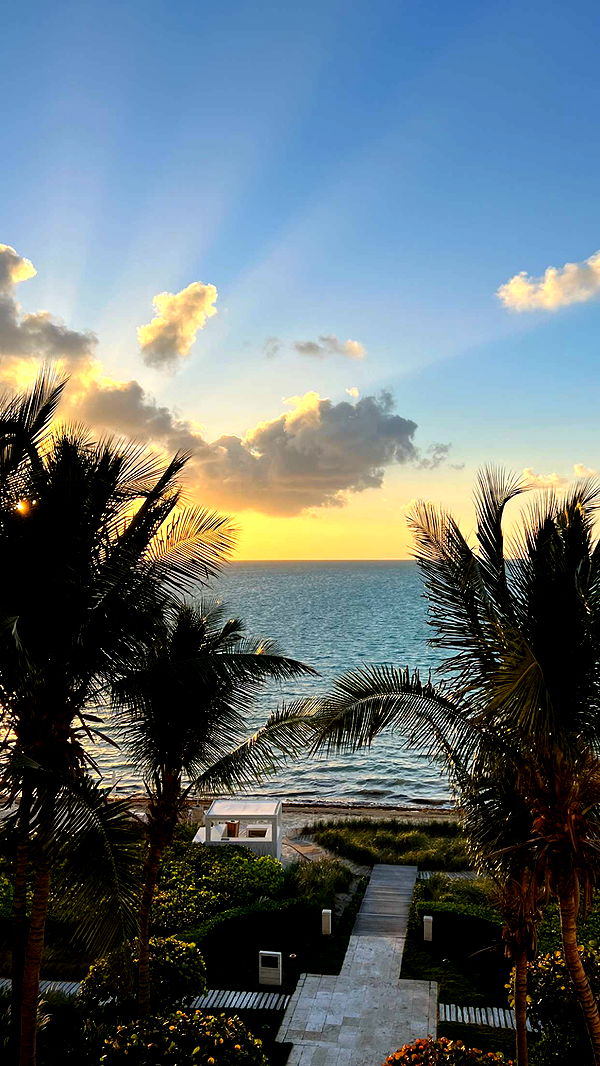 graceboor image ~ Altpins