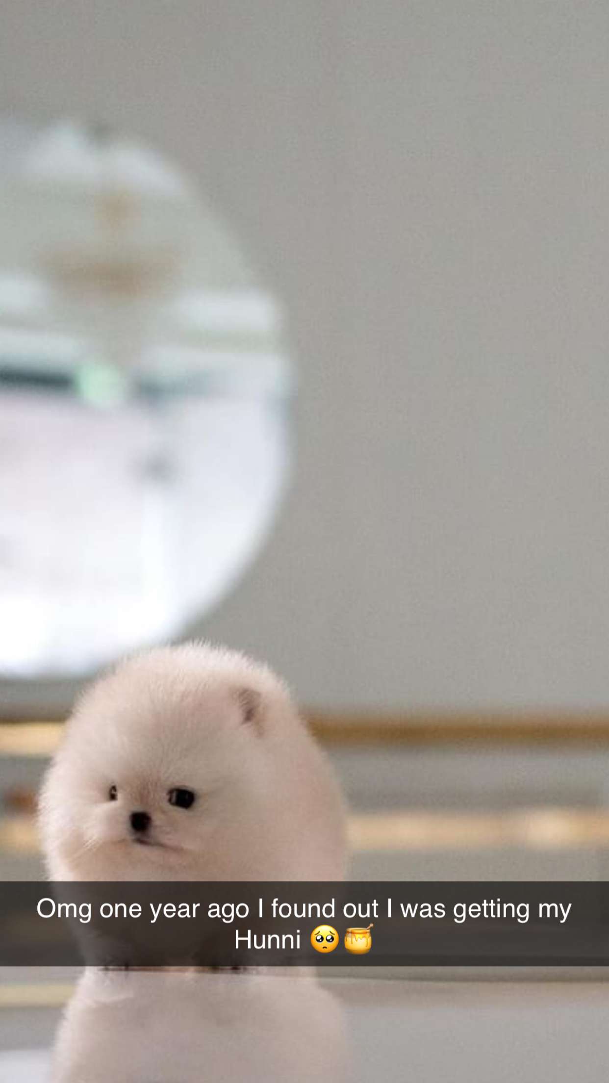 graceboor snapchat image archive image