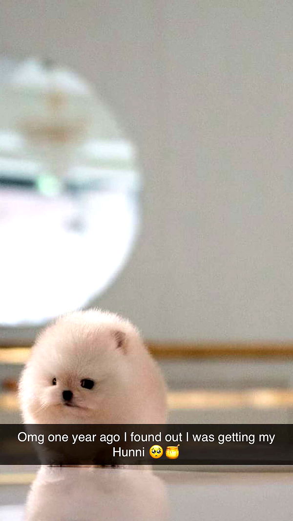 graceboor image ~ Altpins