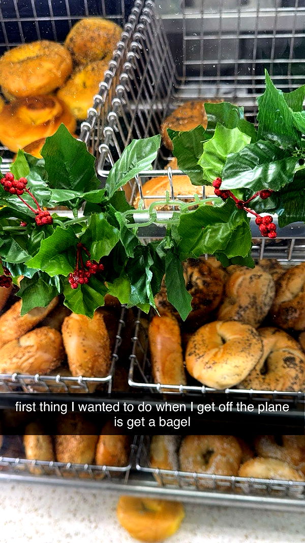 graceboor image ~ Altpins