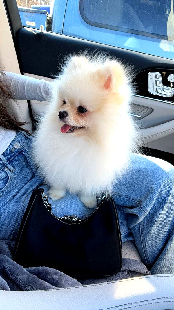 graceboor image ~ Altpins