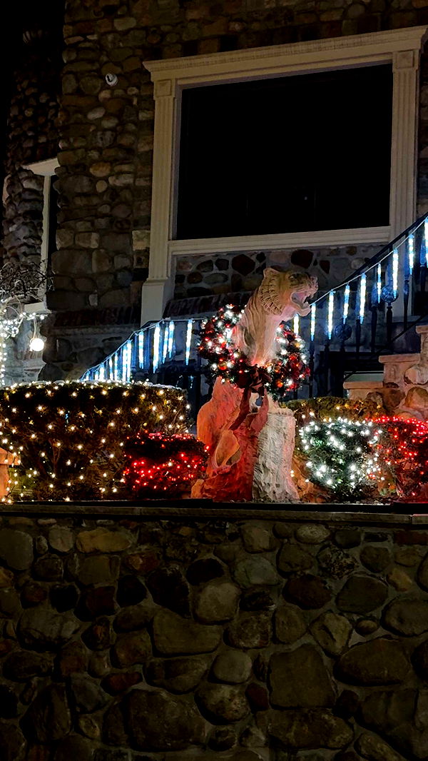 graceboor image ~ Altpins