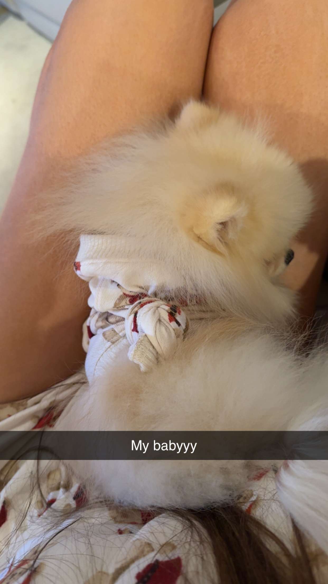 graceboor snapchat image archive image