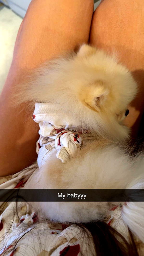 graceboor image ~ Altpins