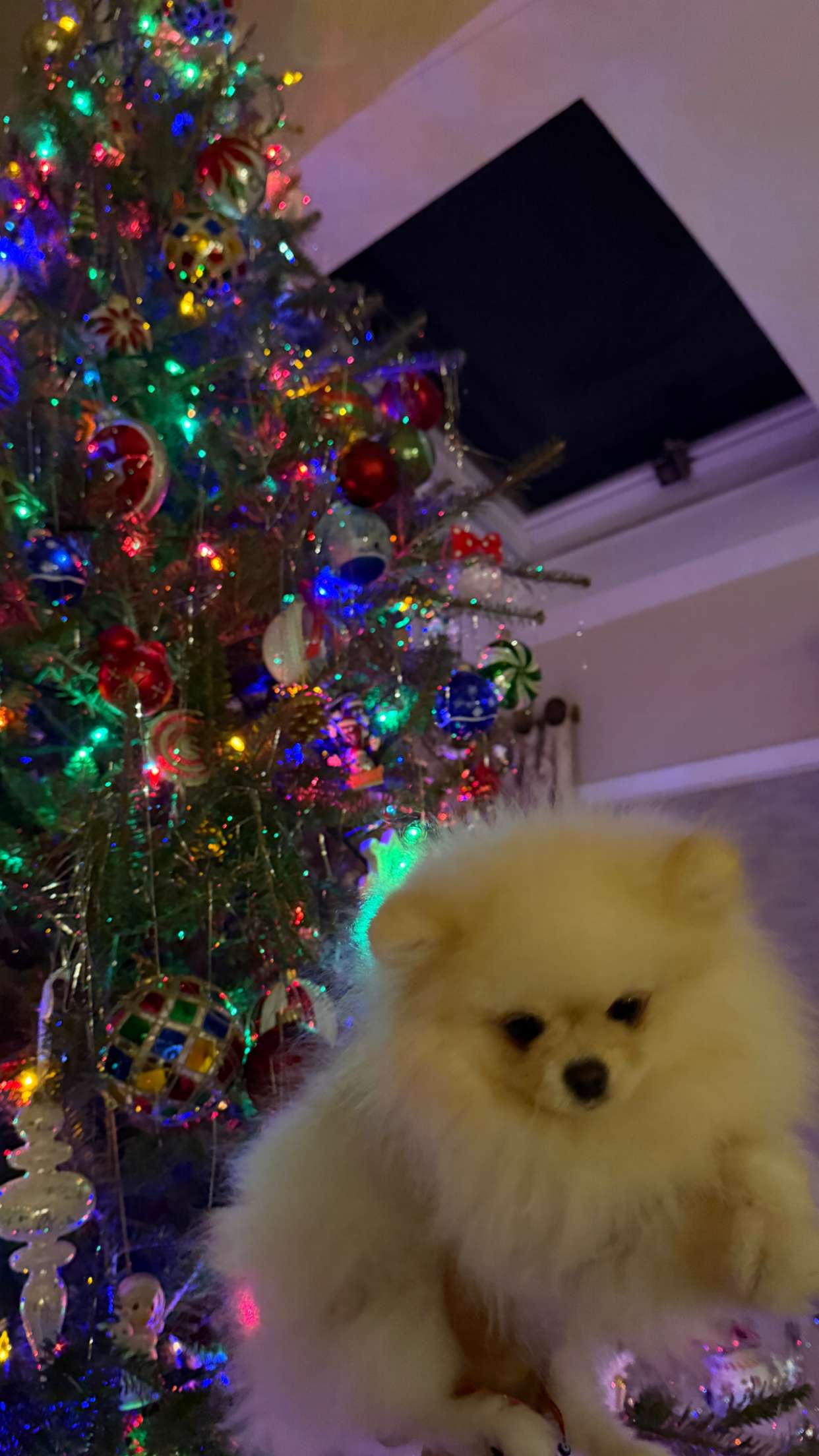 graceboor snapchat image archive image