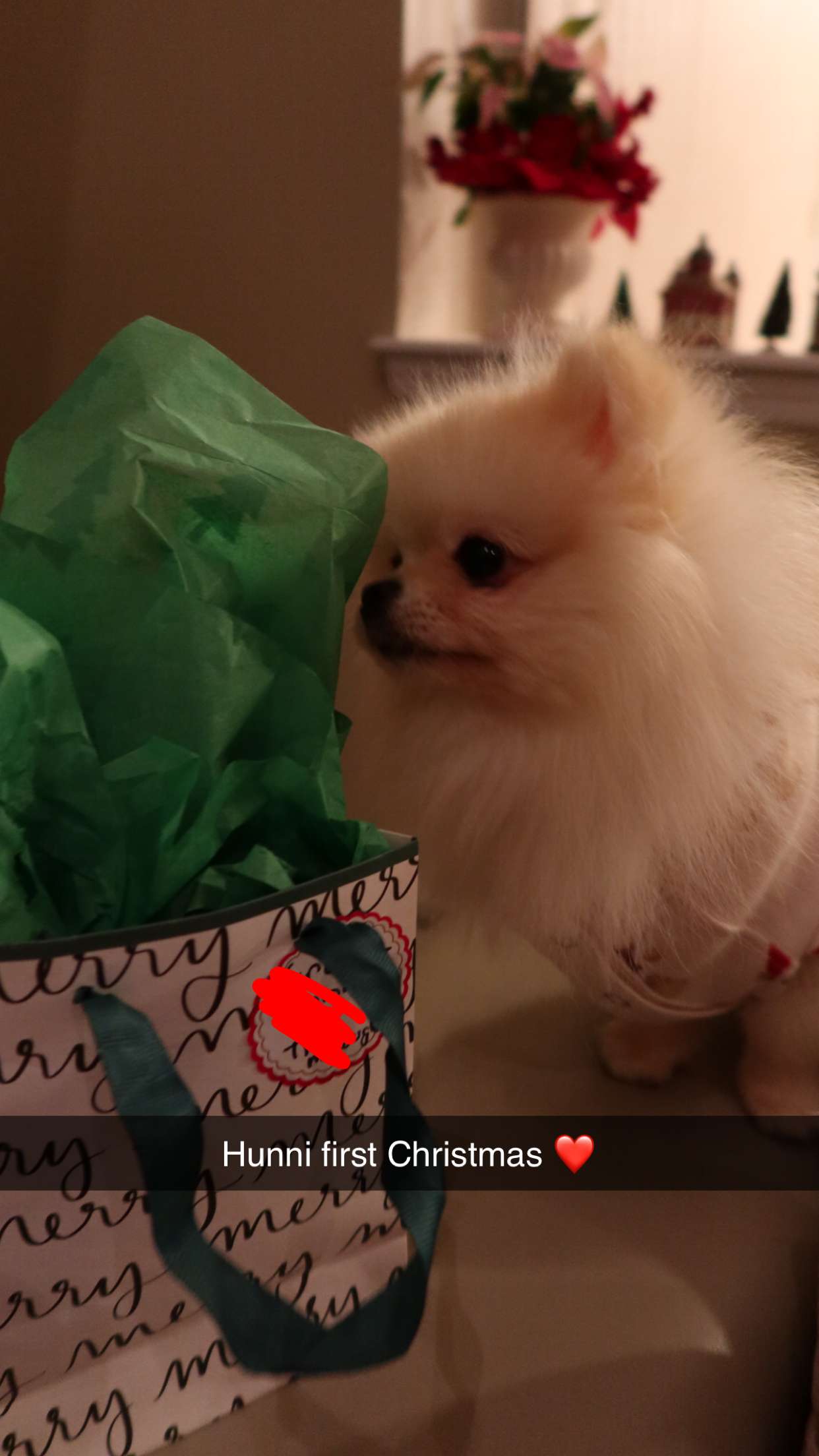 graceboor snapchat image archive image