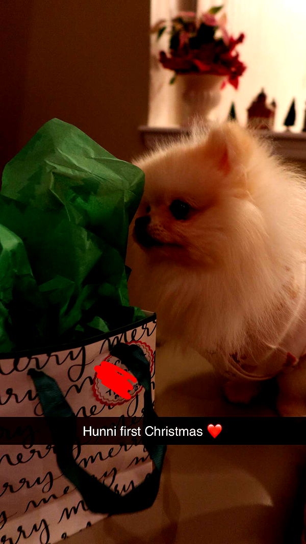 graceboor image ~ Altpins