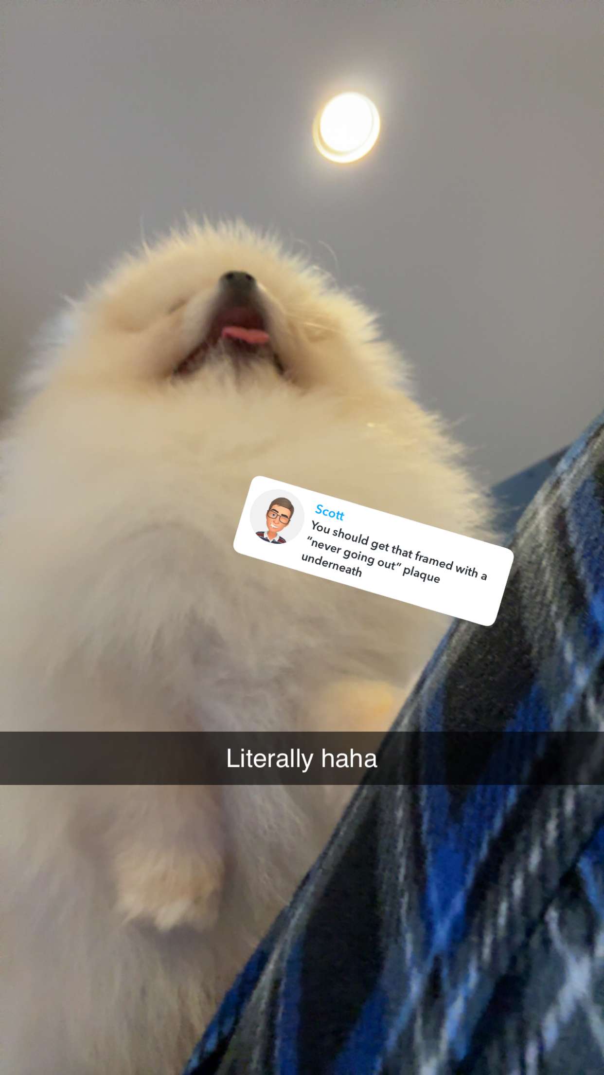 graceboor snapchat image archive image