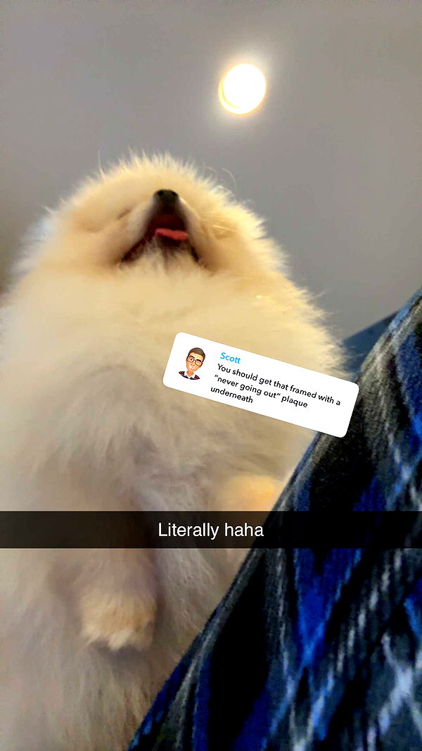 graceboor image ~ Altpins