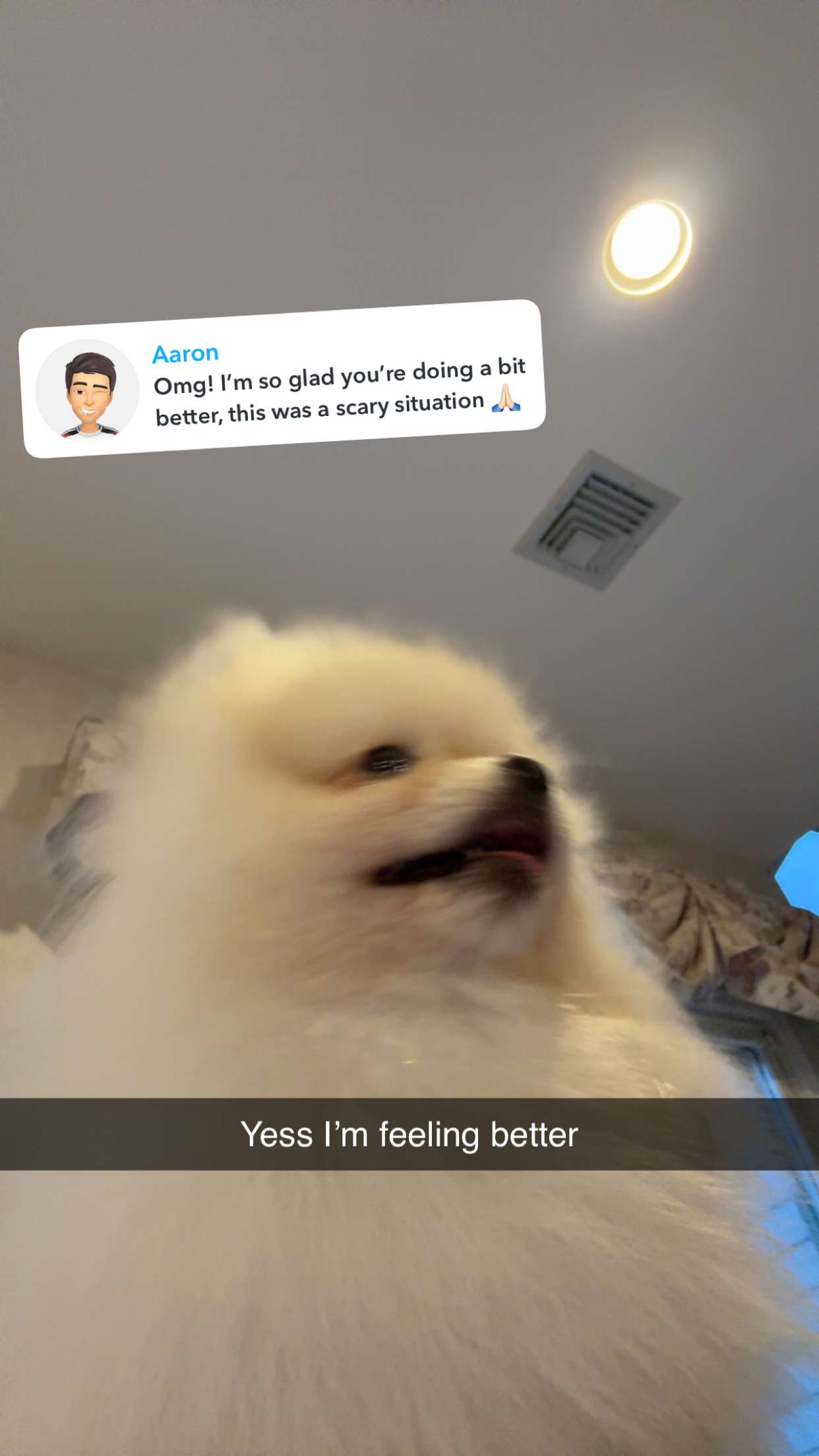 graceboor snapchat image archive image