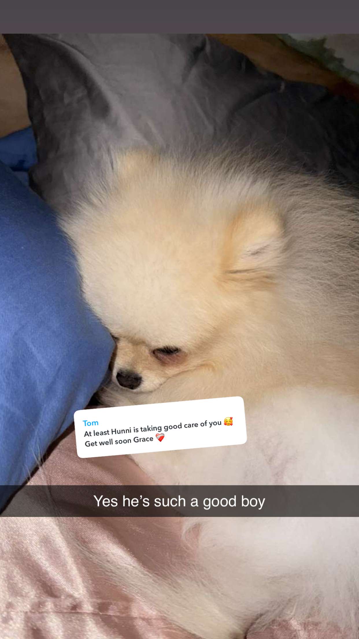 graceboor snapchat image archive image