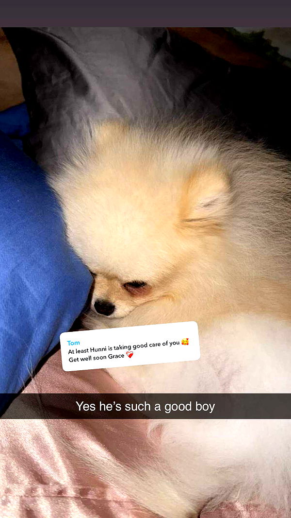 graceboor image ~ Altpins