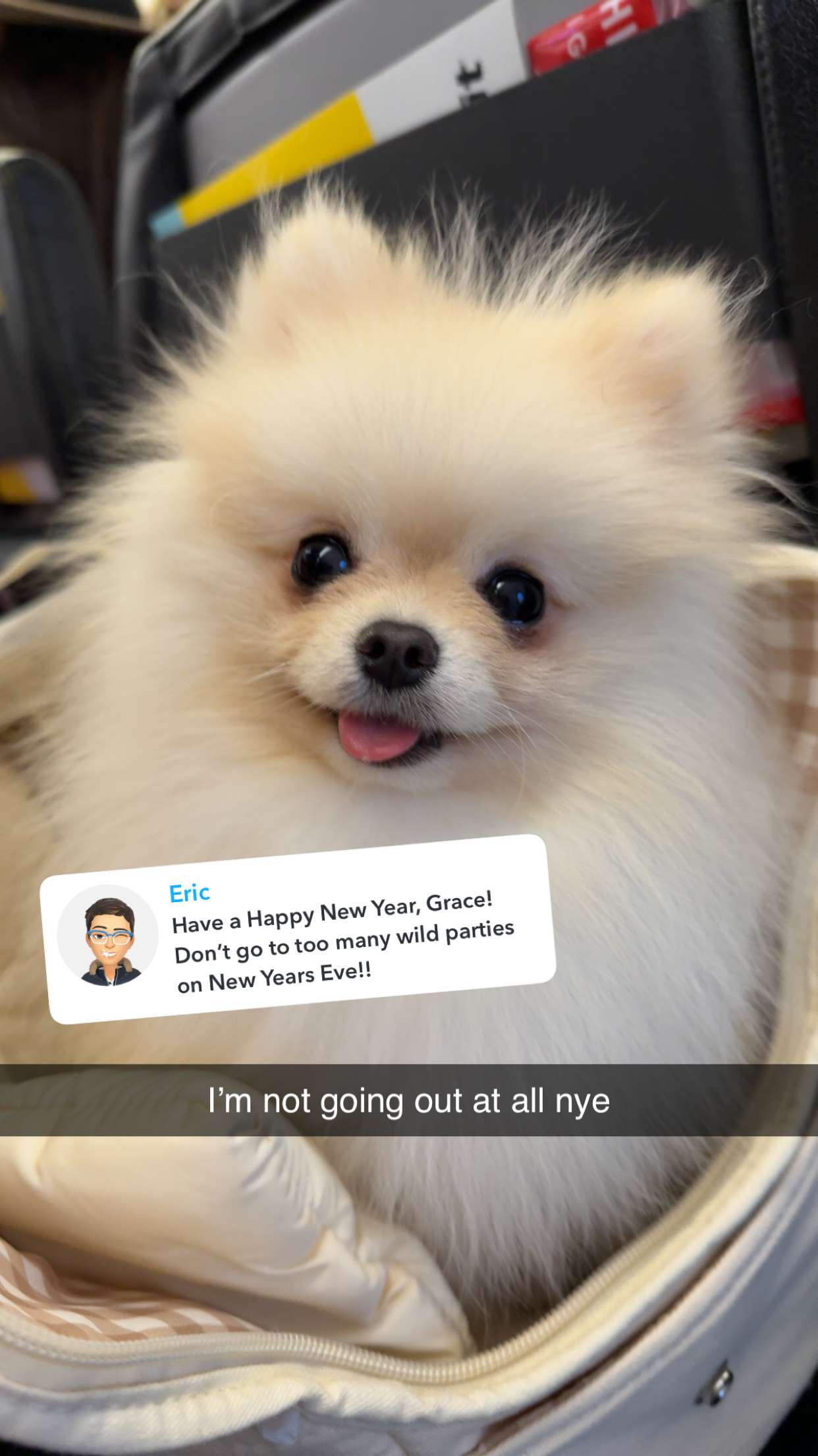 graceboor snapchat image archive image