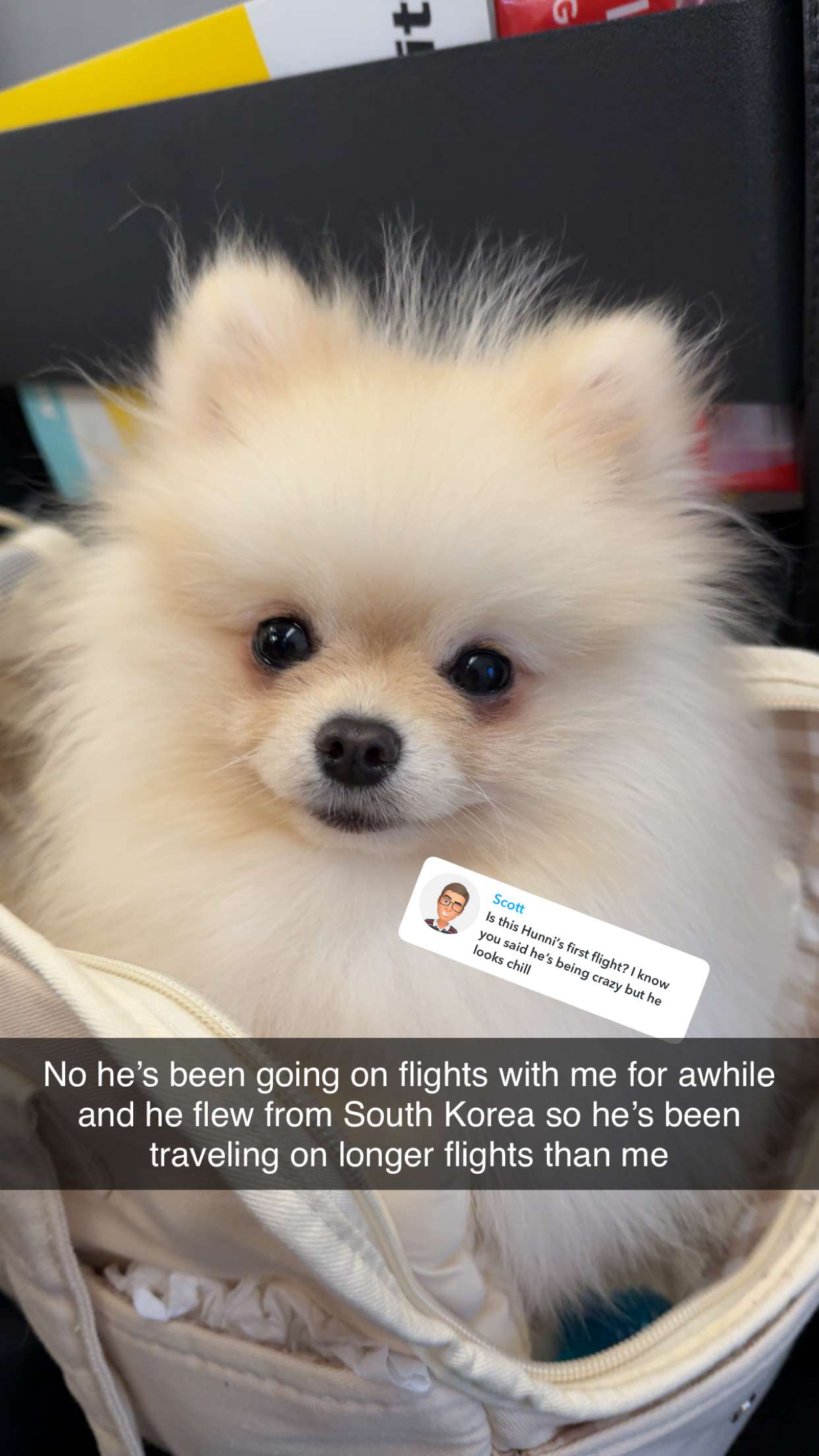 graceboor snapchat image archive image