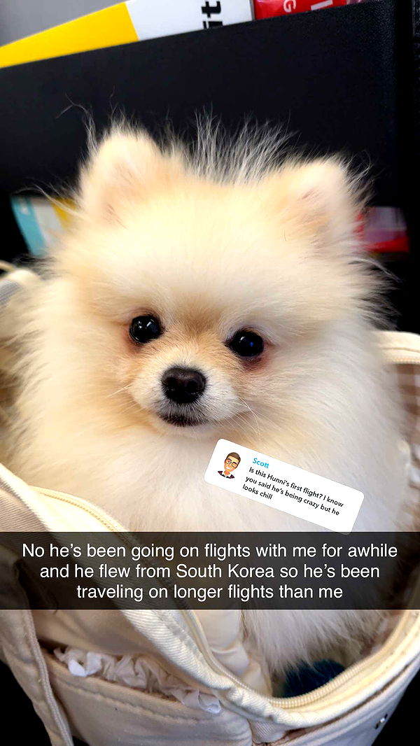 graceboor image ~ Altpins