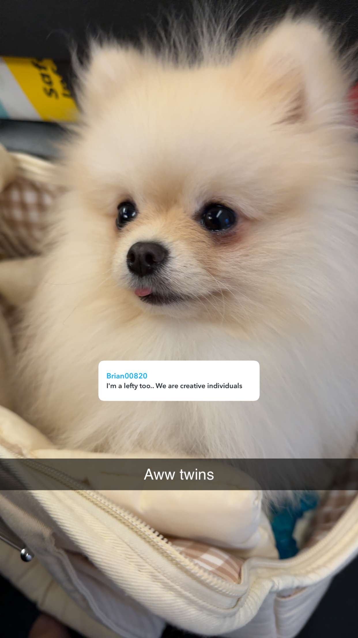 graceboor snapchat image archive image