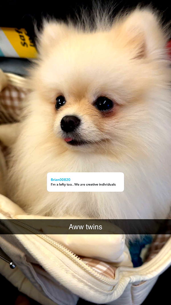 graceboor image ~ Altpins