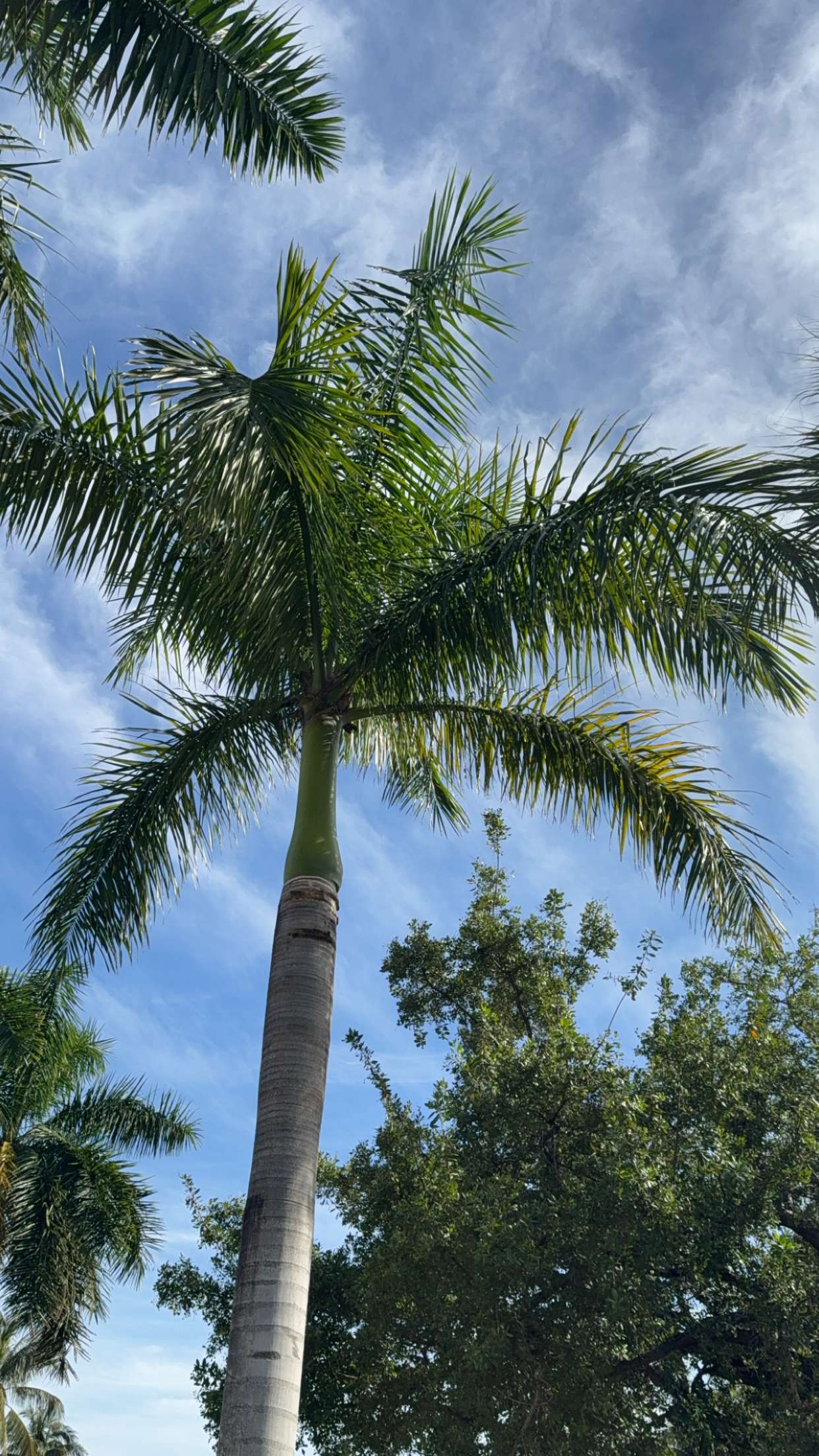 graceboor snapchat image archive image