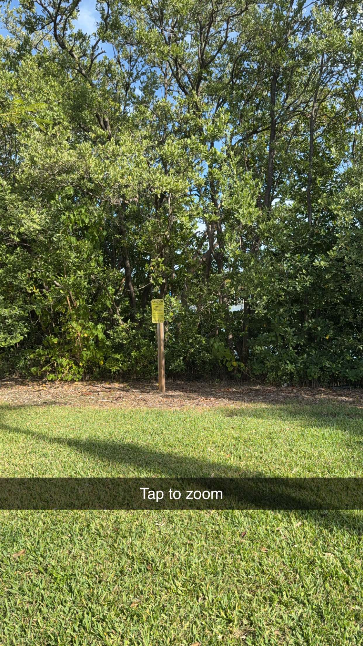 graceboor snapchat image archive image